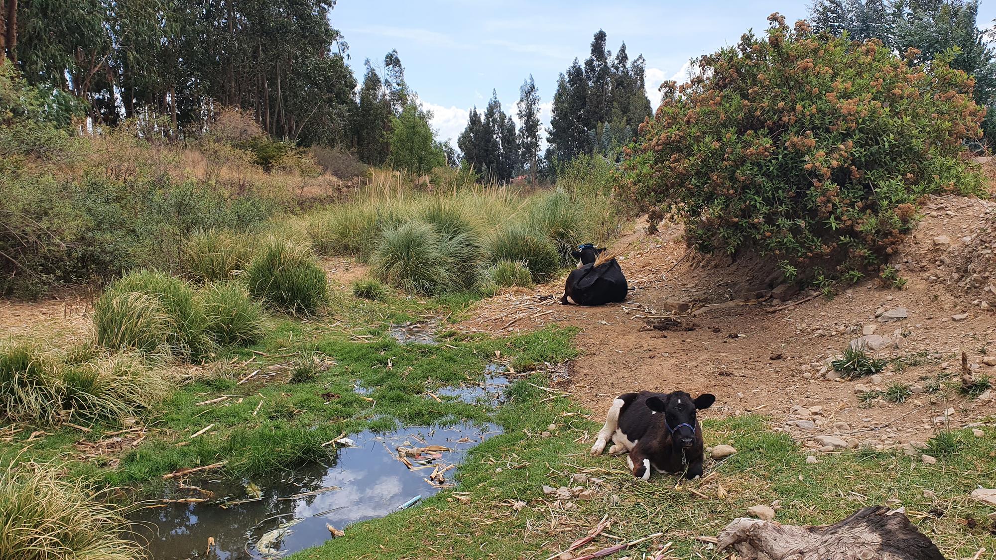 Rio Rocha, Cochabamba
